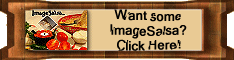 ImageSalsa WebCam Software
